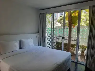 Cochet De Nimman - 64