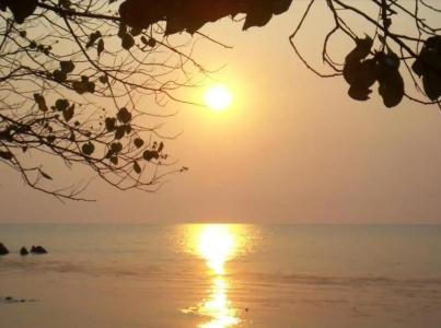 Kohchang Privilege - 15