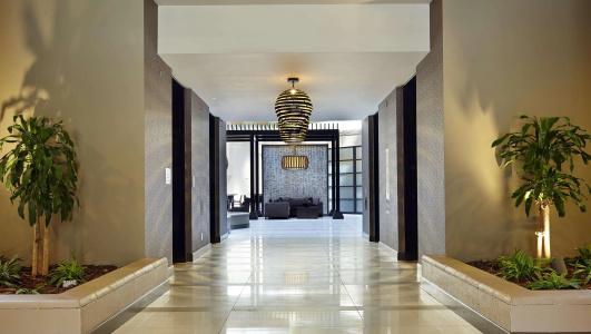 Embassy Suites by Hilton Crystal City National Airport - 15