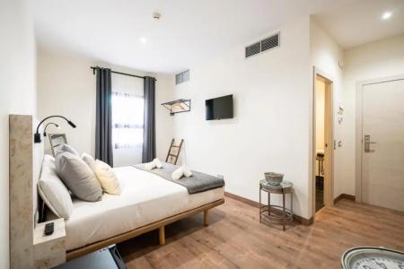 Azacanes Hostal Boutique Toledo - 25