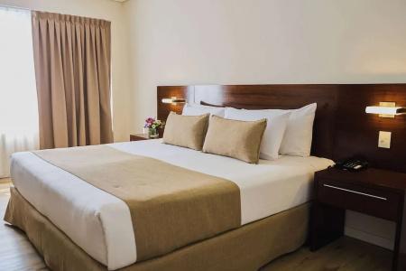 Dazzler by Wyndham Buenos Aires San Martin - 31