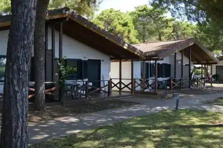 Settebello Village - 37