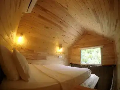 Koala Bungalows - 48