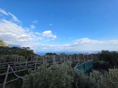 Agriturismo Piccolo Paradiso - 36