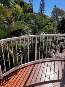 Sea Mist Palms - 48