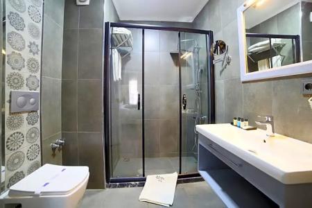 Almina inn - 44