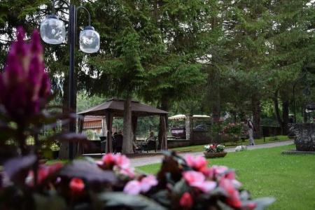 Albergo Il Picchio - 9