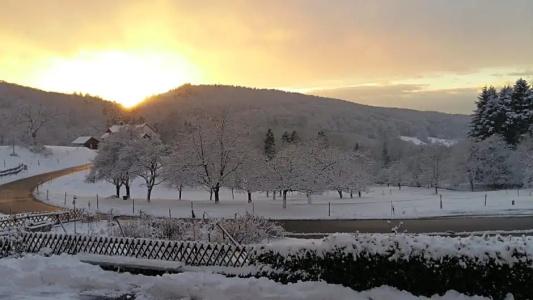 Landgasthof Grüner Baum - 7