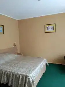 Гвоздика - 17