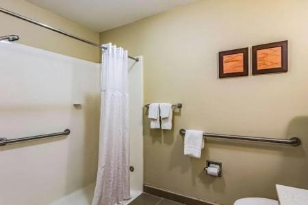 Comfort Inn & Suites West - Lookout Mountain - 44