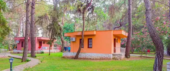 Club Pinara - 12
