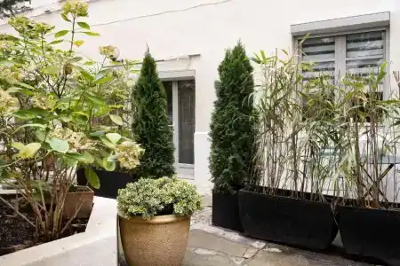 Mhl - Maison Lyon - 32