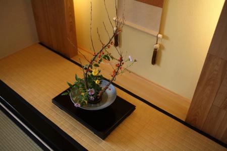 Shiragiku - 16