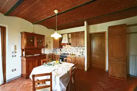 Gatto Bianco Tizzauli - 18