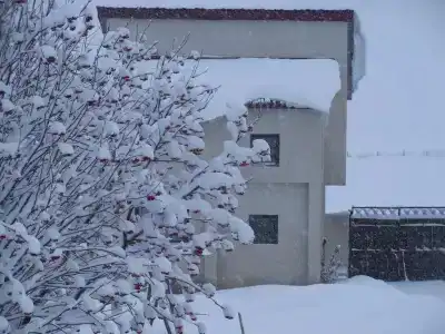 Аллегрия Хаус - 4