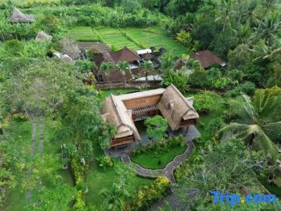 Permata Ayung Private Estate (Adults Only) - 186