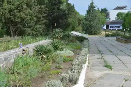 Голубой Залив - 19