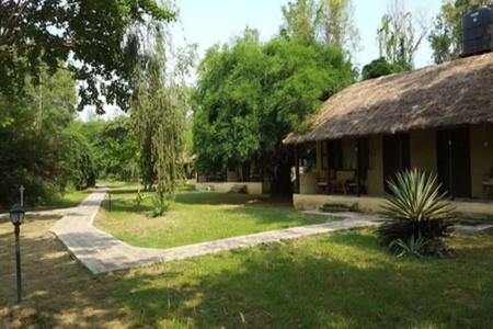 Lumbini Buddha Garden - 11