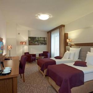 Mercure Krynica Zdrój Resort&Spa - 39