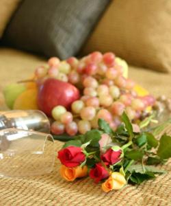 Alexandros Boutique - 179