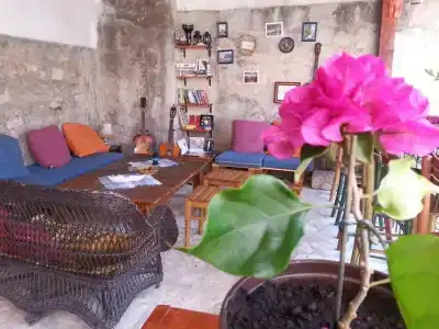 Freedom Hostel Budva - 5