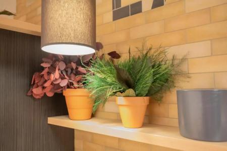 Calm Appart' & Hostel - 33