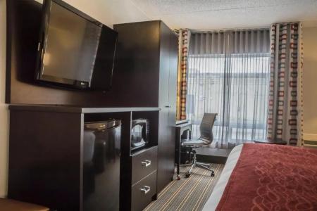 Quality Inn - 45