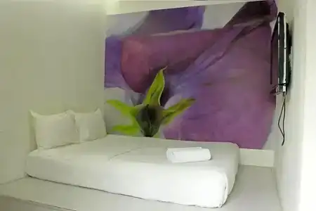 V Garden - 25
