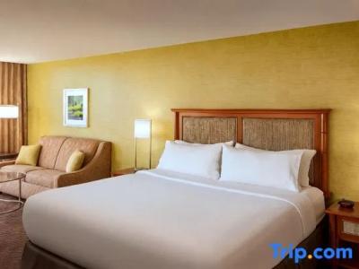 Holiday Inn Austin -Town Lake, An Ihg - 72