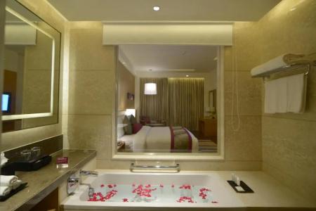 Crowne Plaza Jaipur Tonk Road, An Ihg - 38