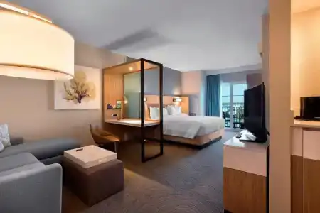 SpringHill Suites by Marriott - 91