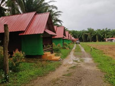 Khao Sok Evergreen House - 21