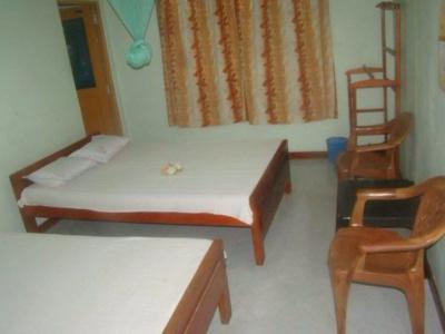 Alp Guest - 2
