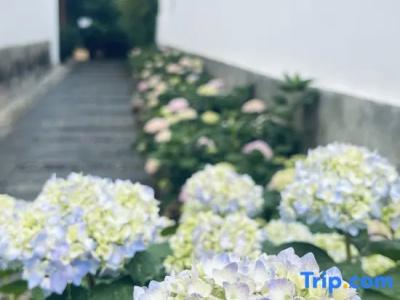 Yonsamity Chain Inn Yunqing Branch - 42