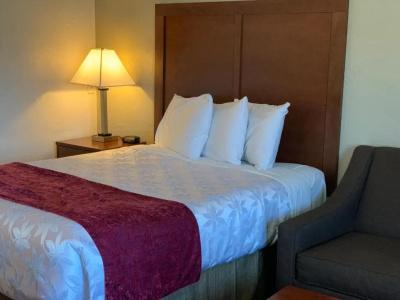 Red Carpet Inn - 22