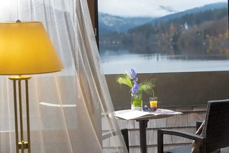 Maritim Titisee - 101