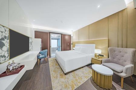 Radisson Blu Grt, Chennai - 117