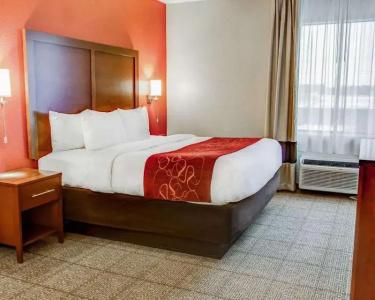 Comfort Suites South - 39