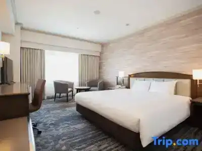 Nikko Kansai Airport - 3 mins walk to the airport - 34