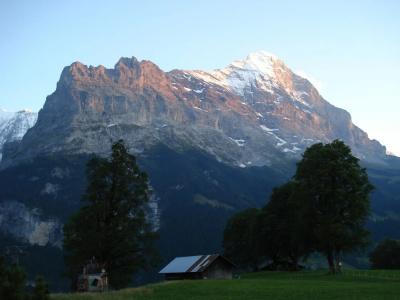 Das Bodmi - 75