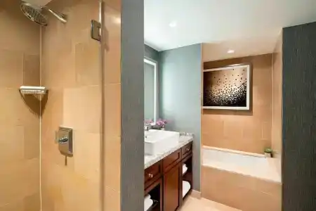 The Ritz-Carlton Atlanta - 89