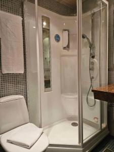 Best Western Apollo - 61