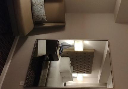 Hilton New Orleans / St. Charles Avenue - 5