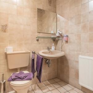 Gasthof Alte Post - 8