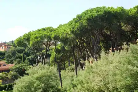 Hôtel Les Jardins De Sainte-Maxime - 24