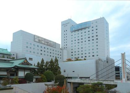 Fujita Fukui - 0