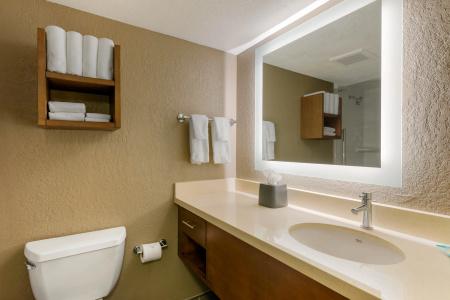 Staybridge Suites - Orlando Royale Parc Suites, An Ihg - 9