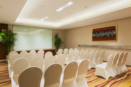 Holiday Inn Nanjing Aqua City, An Ihg - 42
