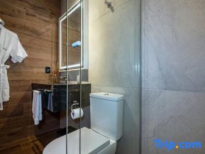 Shanghai Joyful Star(Pudong Airport/Shanghai International Resort/Free Trade Zone) - 41