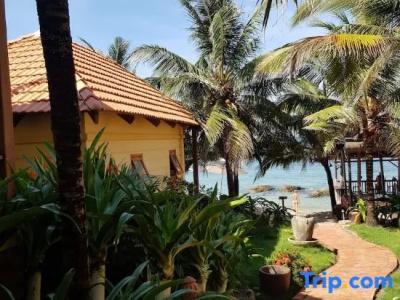 Free Beach Resort - 28